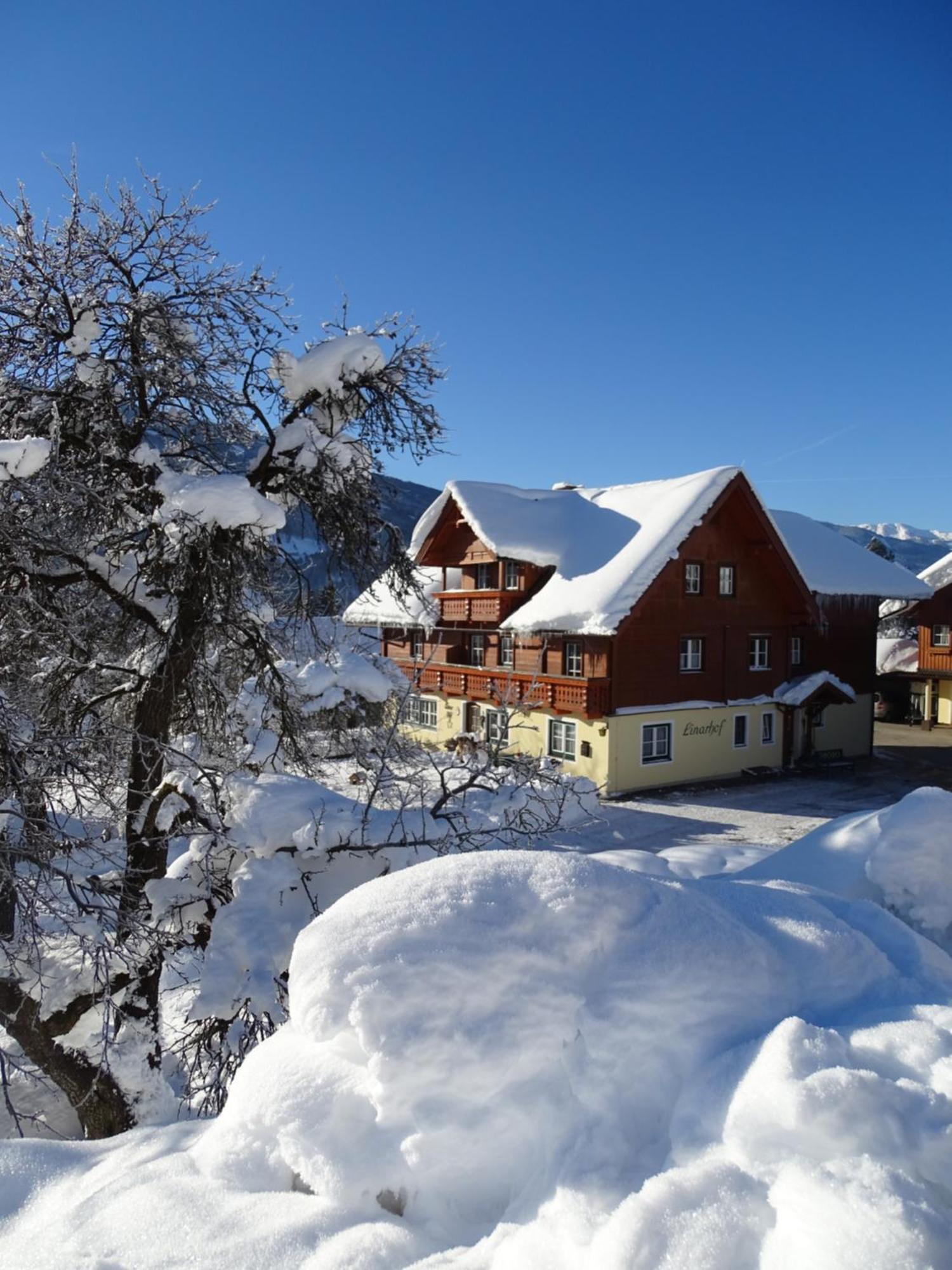 Linarhof Apartment Urlaub Am Bio Bauernhof Haus im Ennstal Exterior photo